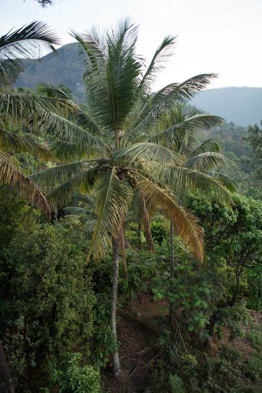 View Valley Homestay Munnar Exterior photo