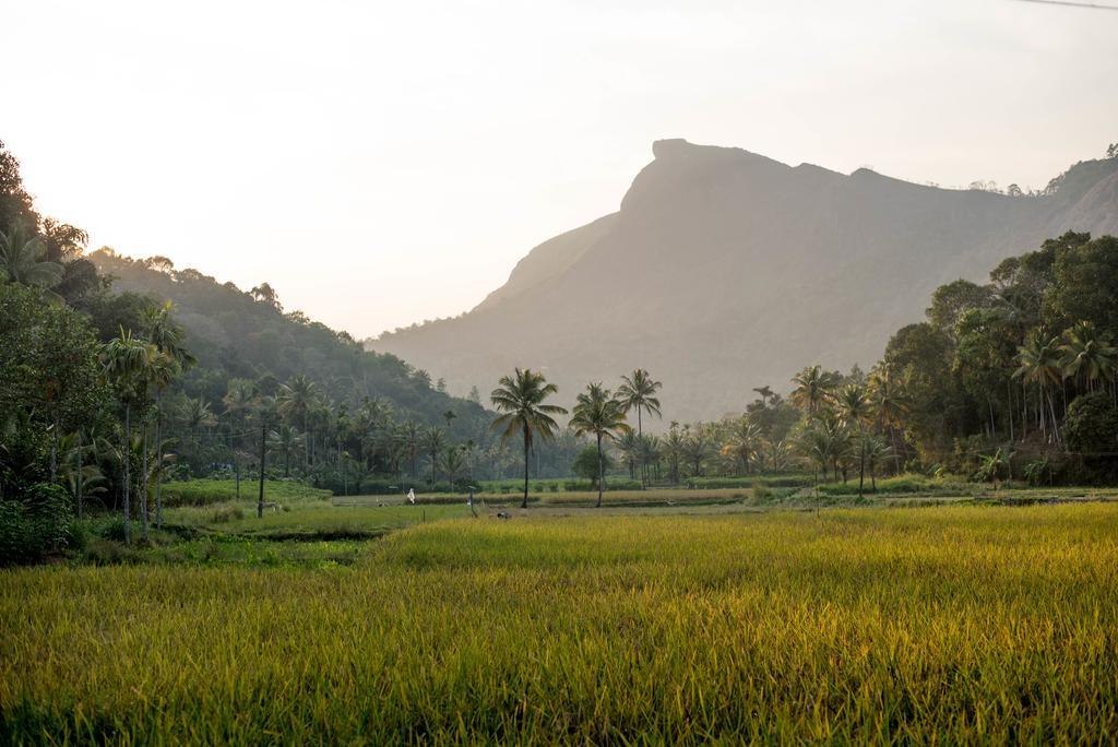 View Valley Homestay Munnar Exterior photo