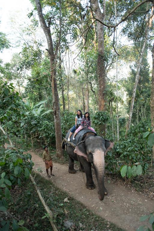 View Valley Homestay Munnar Exterior photo